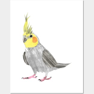 cockatiel Posters and Art